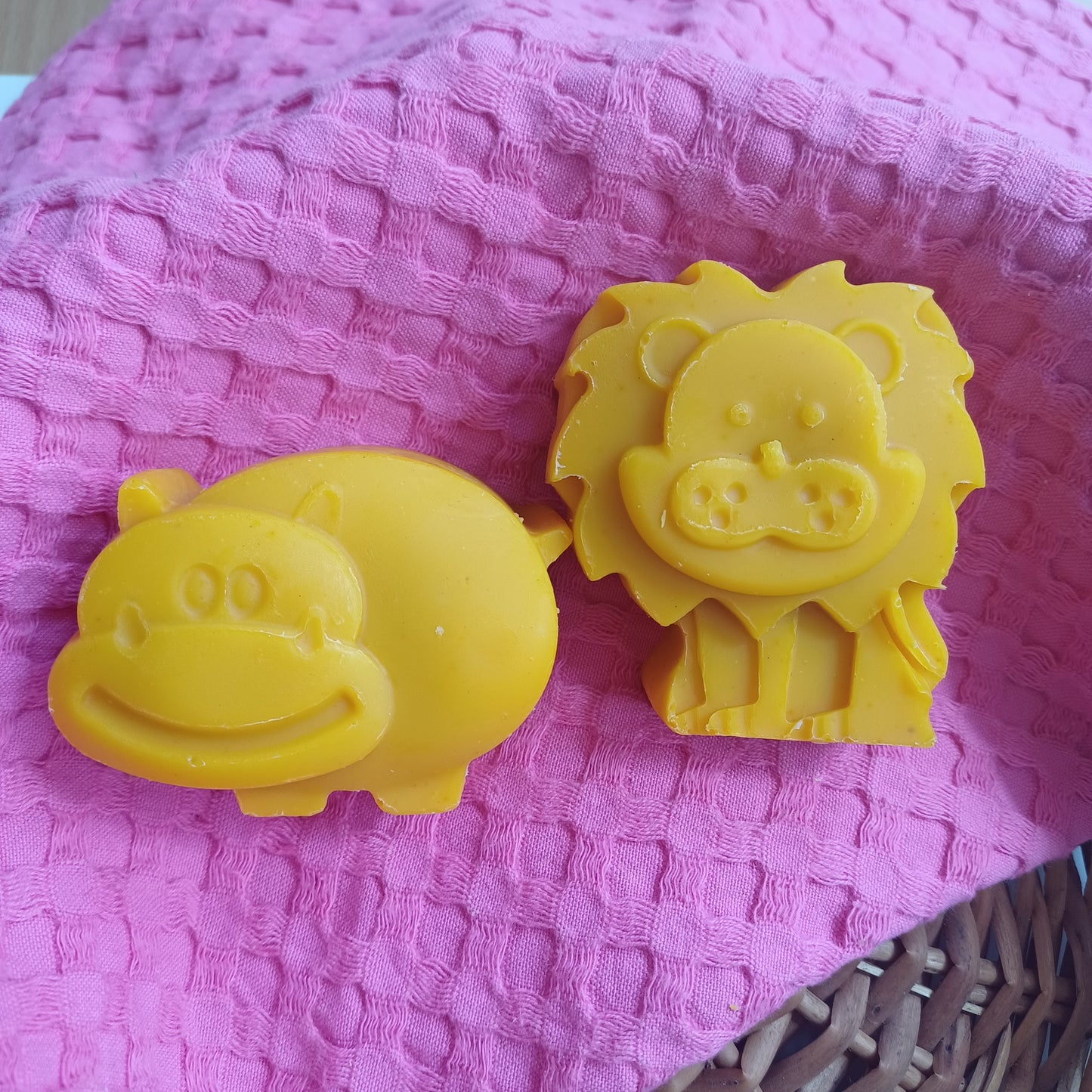 Kids Carrot Coconut Milk soap