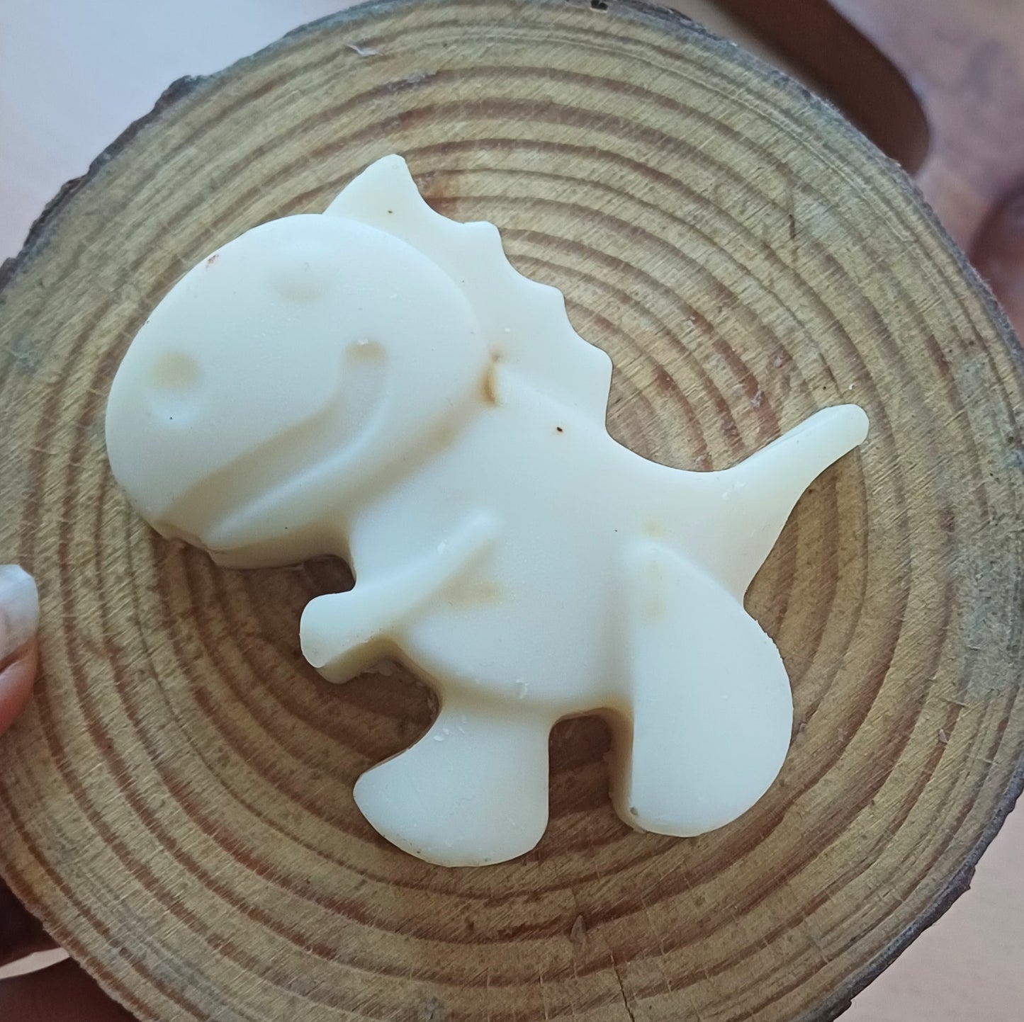 Dinosaur đŚ (Assorted)