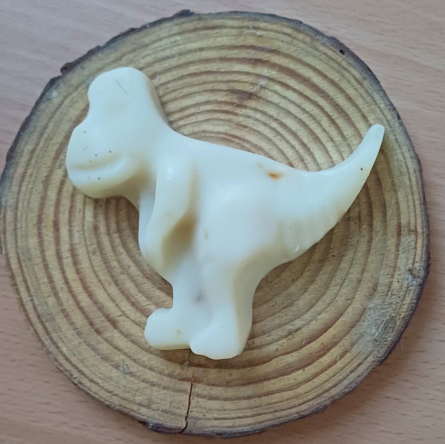 Dinosaur đŚ (Assorted)