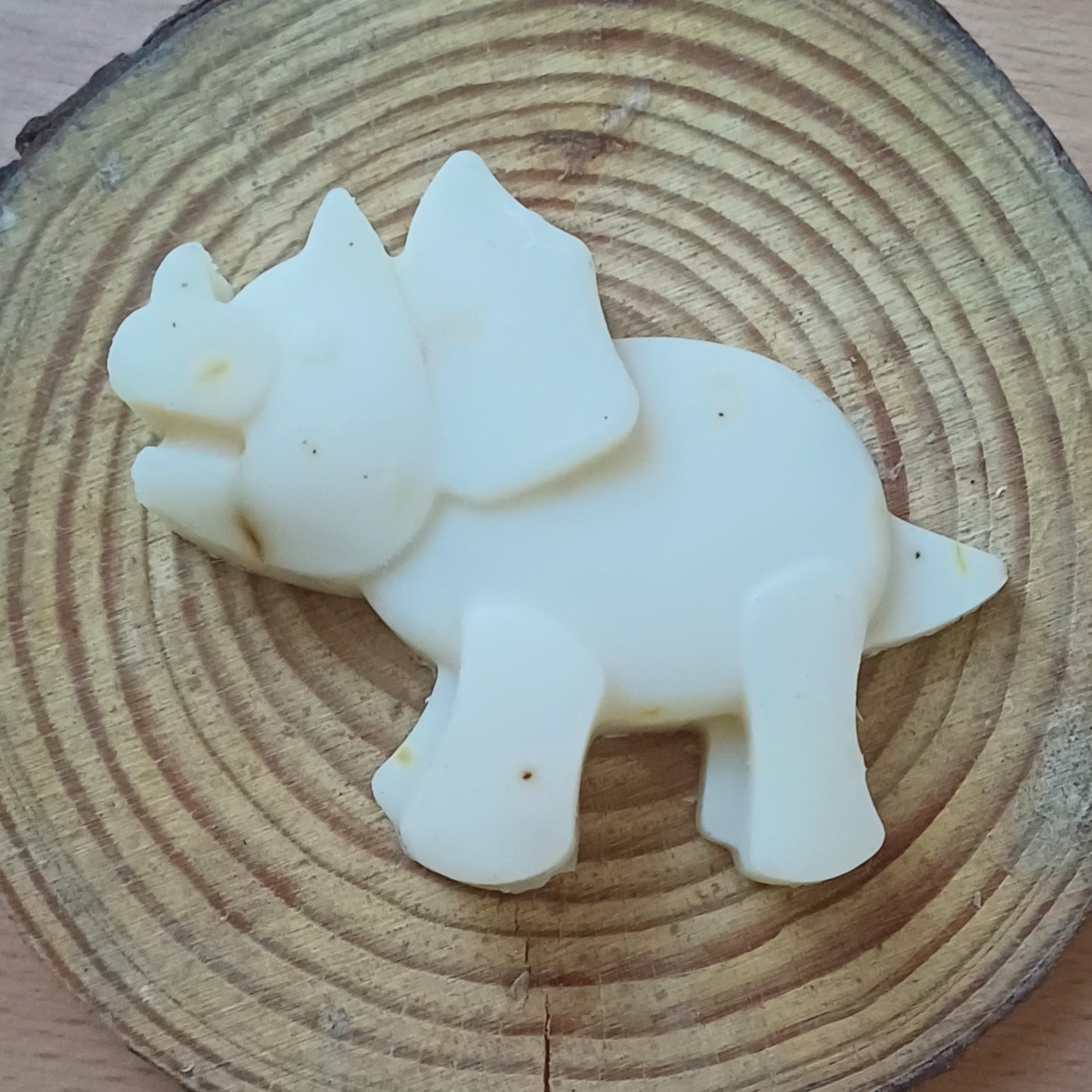 Dinosaur đŚ (Assorted)