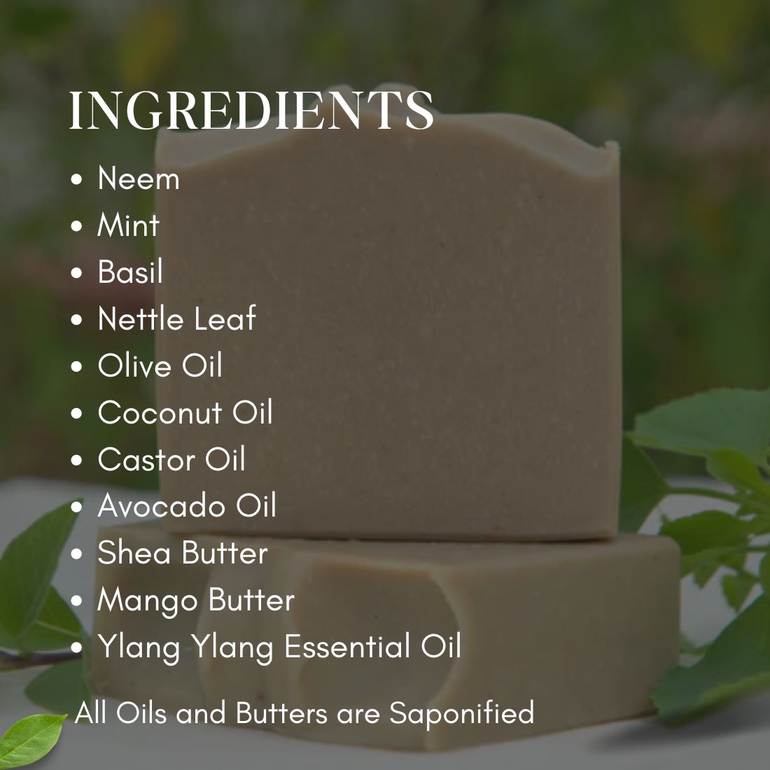 Sacred Ritual | Neem Basil soap