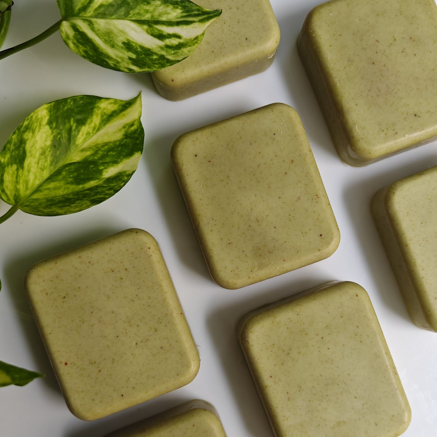 Kuppaimeni/Nettle Leaf soap (Unscented)